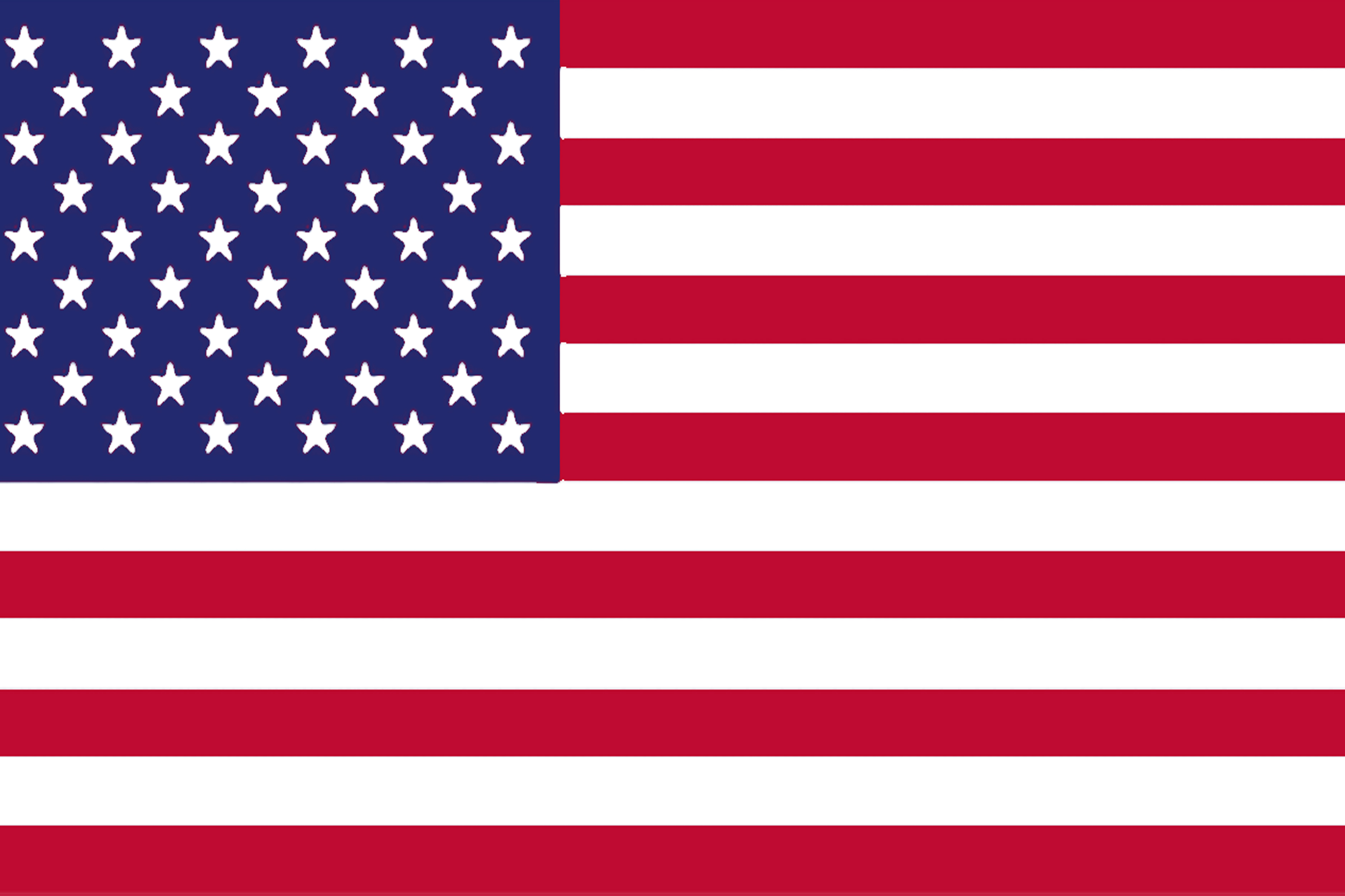 the american flag