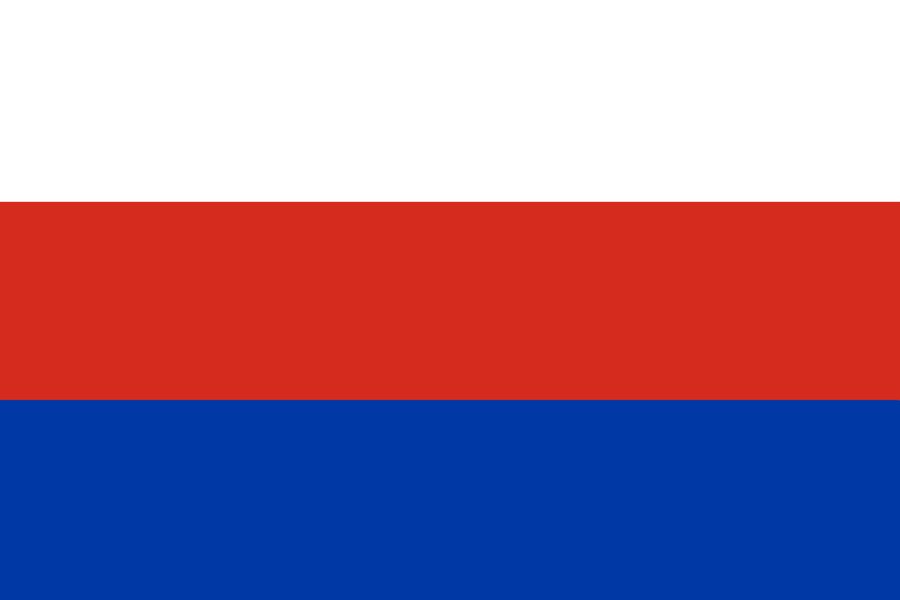 the russian flag