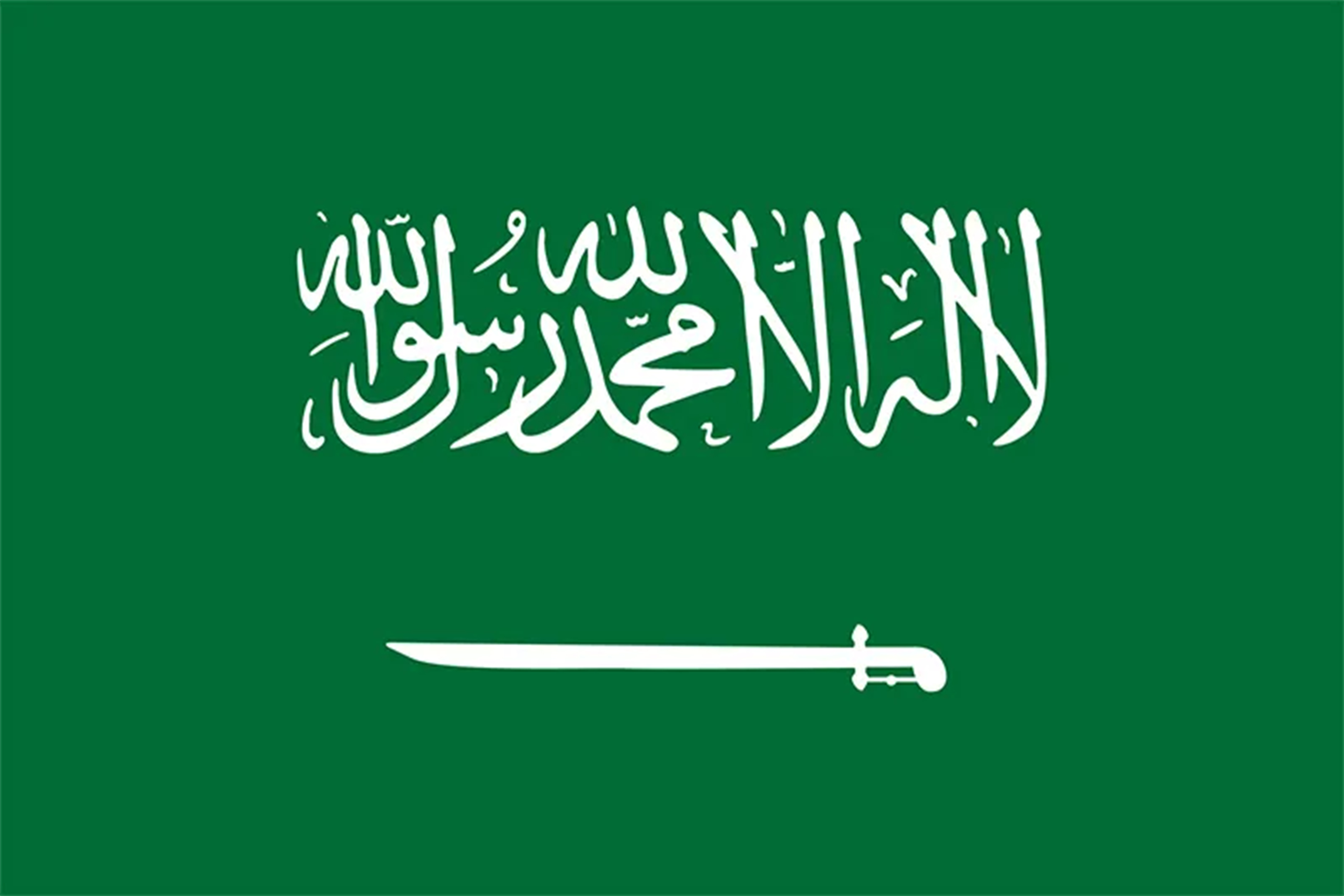 the saudi flag
